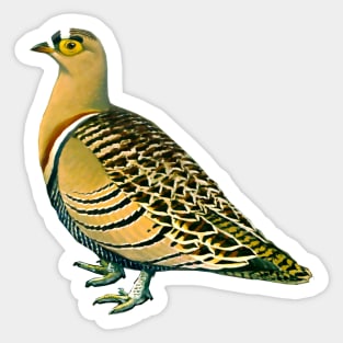 hopscotch dove Sticker